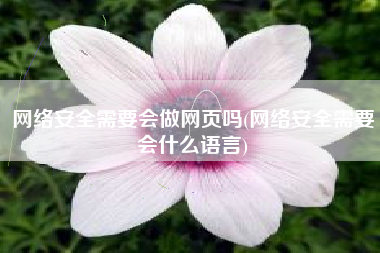 网络安全需要会做网页吗(网络安全需要会什么语言)