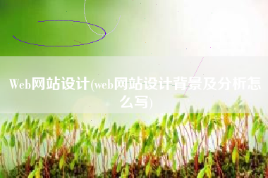 Web网站设计(web网站设计背景及分析怎么写)