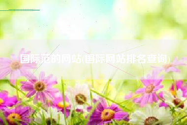 国际范的网站(国际网站排名查询)