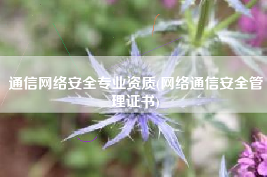 通信网络安全专业资质(网络通信安全管理证书)