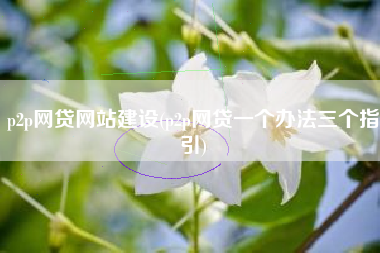 p2p网贷网站建设(p2p网贷一个办法三个指引)