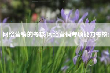 网络营销的考核(网络营销专项能力考核)