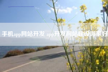 手机app网站开发 app开发网站建设哪家好