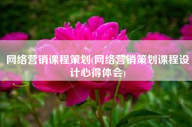 网络营销课程策划(网络营销策划课程设计心得体会)