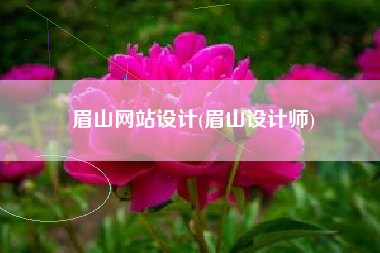 眉山网站设计(眉山设计师)