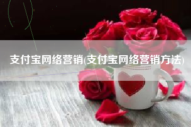 支付宝网络营销(支付宝网络营销方法)