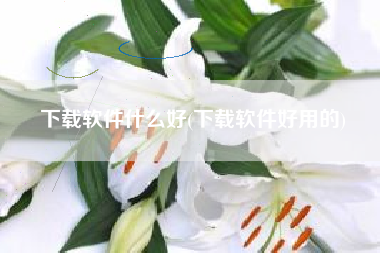 下载软件什么好(下载软件好用的)