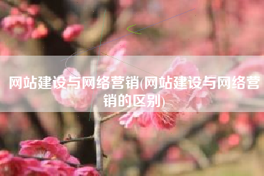网站建设与网络营销(网站建设与网络营销的区别)