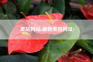 美站网站(最新美国网址)