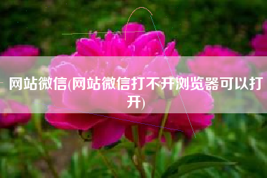 网站微信(网站微信打不开浏览器可以打开)