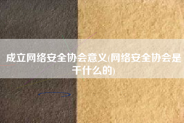 成立网络安全协会意义(网络安全协会是干什么的)