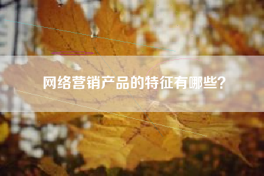 网络营销产品的特征有哪些？