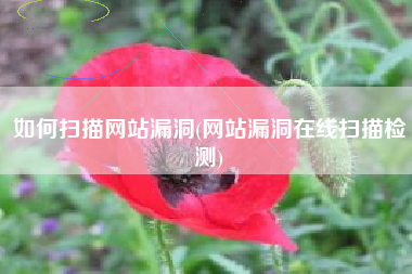 如何扫描网站漏洞(网站漏洞在线扫描检测)