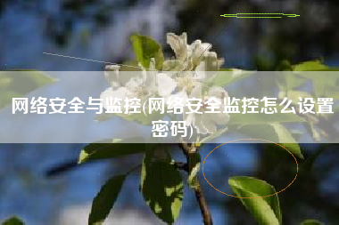 网络安全与监控(网络安全监控怎么设置密码)