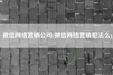 微信网络营销公司(微信网络营销犯法么)