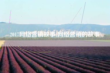 2017网络营销故事(网络营销的故事)
