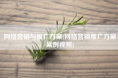 网络营销与推广方案(网络营销推广方案案例视频)