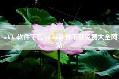 adobe软件下载(adobe软件下载免费大全网站)