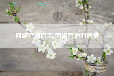 网络营销启示(网络营销的感悟)