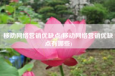 移动网络营销优缺点(移动网络营销优缺点有哪些)