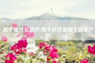 犀牛是什么软件(犀牛软件是哪个国家产的)