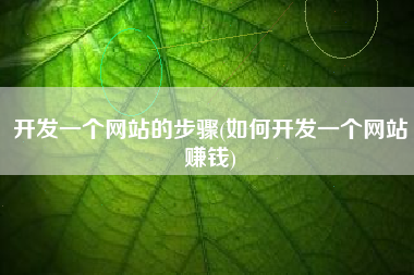 开发一个网站的步骤(如何开发一个网站赚钱)