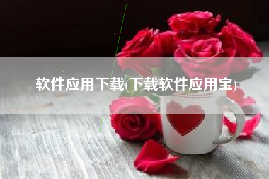 软件应用下载(下载软件应用宝)