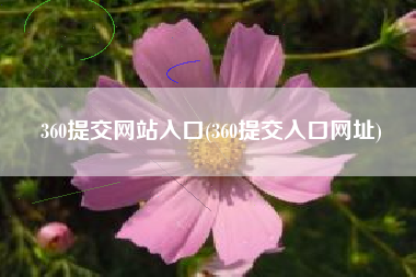 360提交网站入口(360提交入口网址)