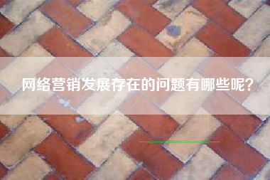 网络营销发展存在的问题有哪些呢？