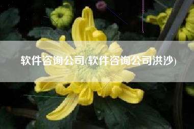 软件咨询公司(软件咨询公司洪沙)