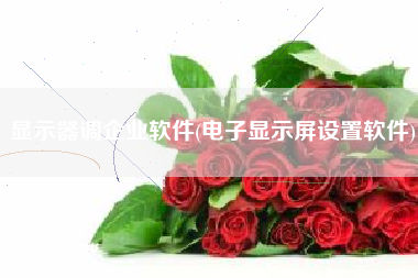 显示器调企业软件(电子显示屏设置软件)