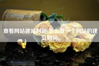 查看网站建站时间(怎么查一个网站的建立时间)