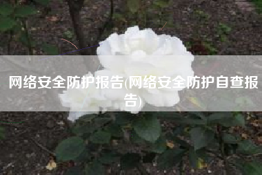 网络安全防护报告(网络安全防护自查报告)