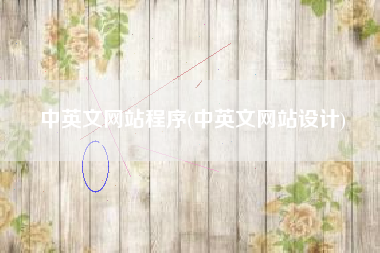 中英文网站程序(中英文网站设计)