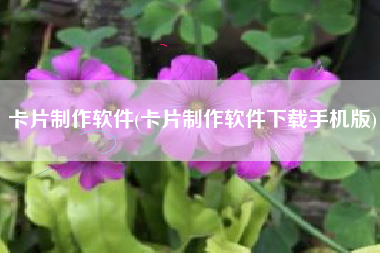 卡片制作软件(卡片制作软件下载手机版)