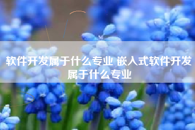 软件开发属于什么专业 嵌入式软件开发属于什么专业