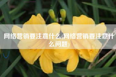 网络营销要注意什么(网络营销要注意什么问题)
