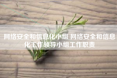 网络安全和信息化小组 网络安全和信息化工作领导小组工作职责