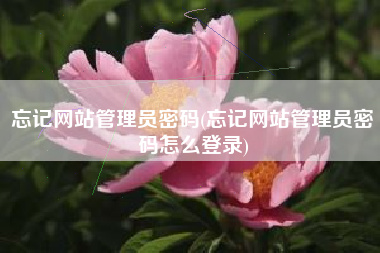 忘记网站管理员密码(忘记网站管理员密码怎么登录)