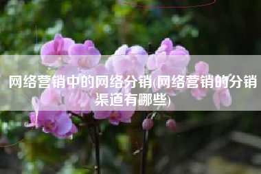 网络营销中的网络分销(网络营销的分销渠道有哪些)