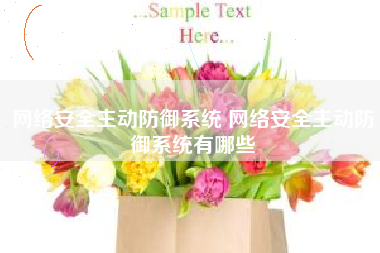 网络安全主动防御系统 网络安全主动防御系统有哪些