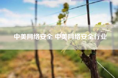 中美网络安全 中美网络安全行业