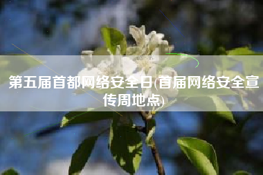 第五届首都网络安全日(首届网络安全宣传周地点)