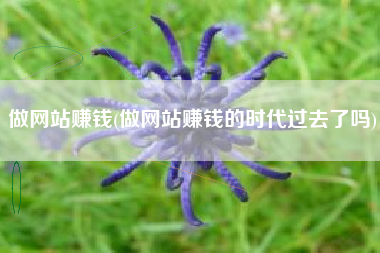 做网站赚钱(做网站赚钱的时代过去了吗)