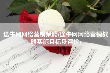 途牛网网络营销策略(途牛网网络营销战略实施目标及评价)