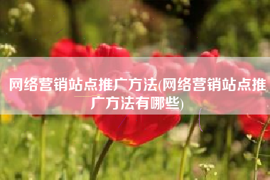 网络营销站点推广方法(网络营销站点推广方法有哪些)