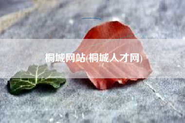 桐城网站(桐城人才网)