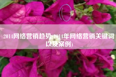2014网络营销趋势(2014年网络营销关键词以及案例)