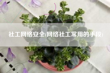 社工网络安全(网络社工常用的手段)