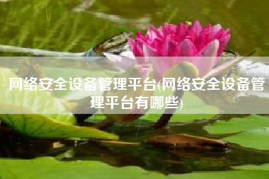 网络安全设备管理平台(网络安全设备管理平台有哪些)